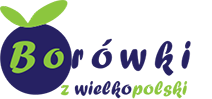 Borówki z wielkopolski
