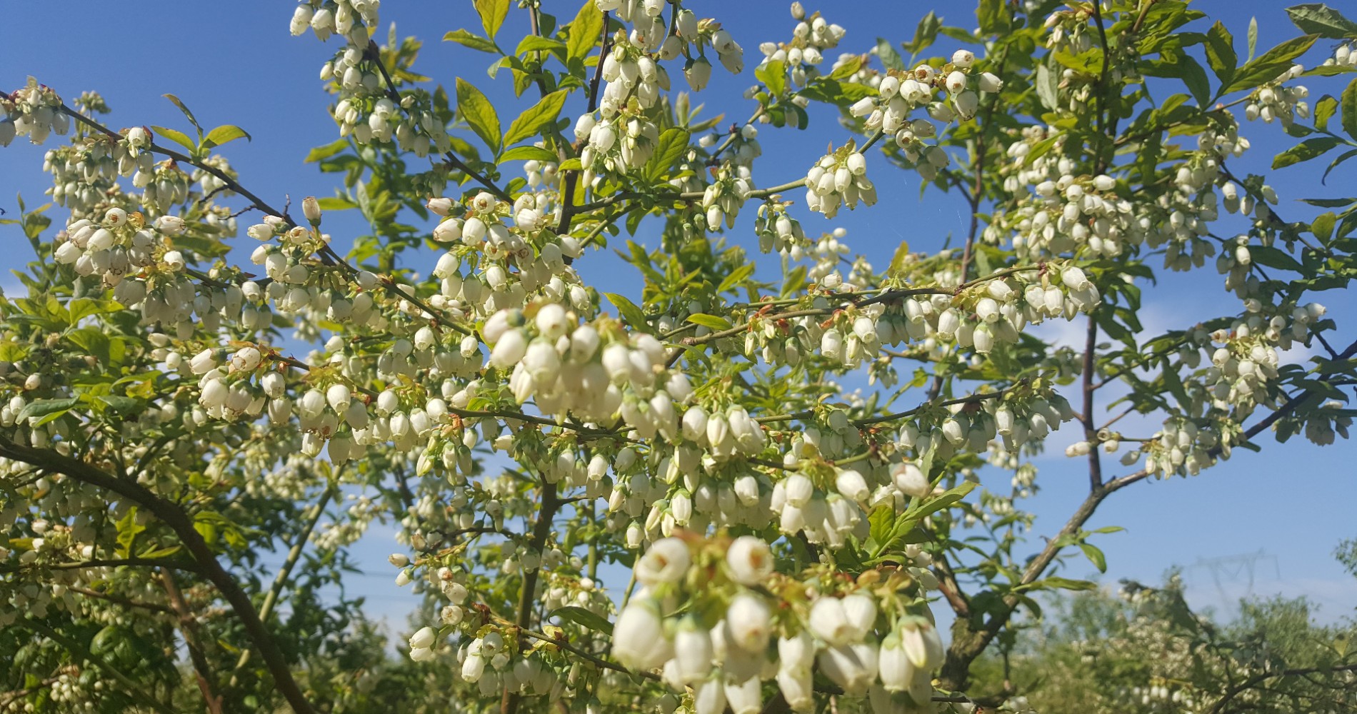 20170518_094743
