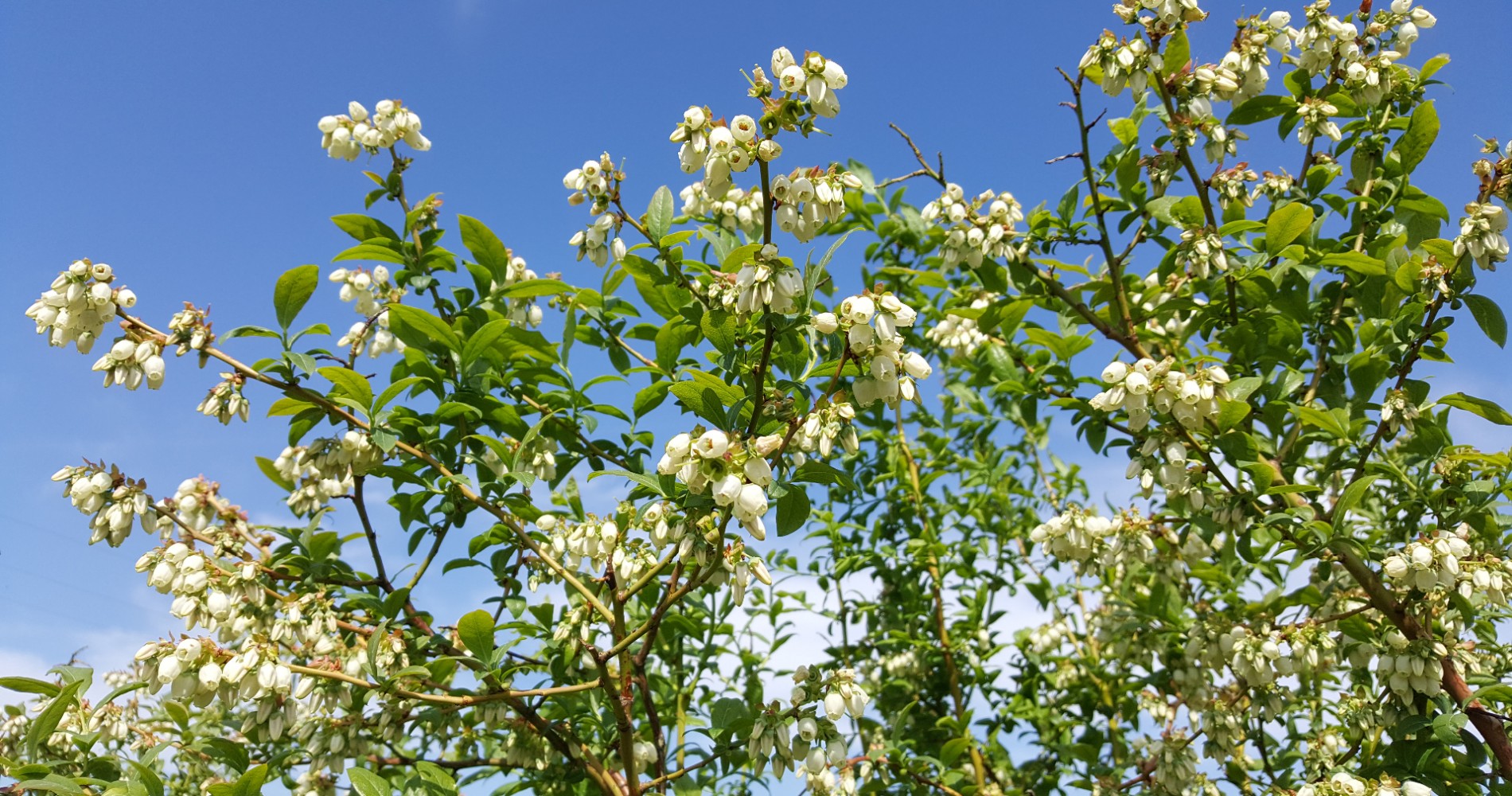 20170518_155051